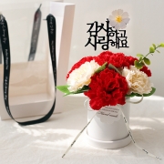 New 메르시 비누꽃 카네이션 로즈 화분 세트