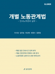 개별노동관계법(인사노무관리 실무)