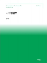 신헌법입문