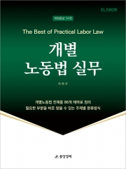 개별 노동법 실무-85개 실무테마