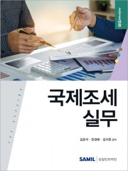 2024 국제조세 실무