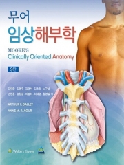 무어 임상해부학 9판