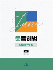 준특허법 쟁점판례집