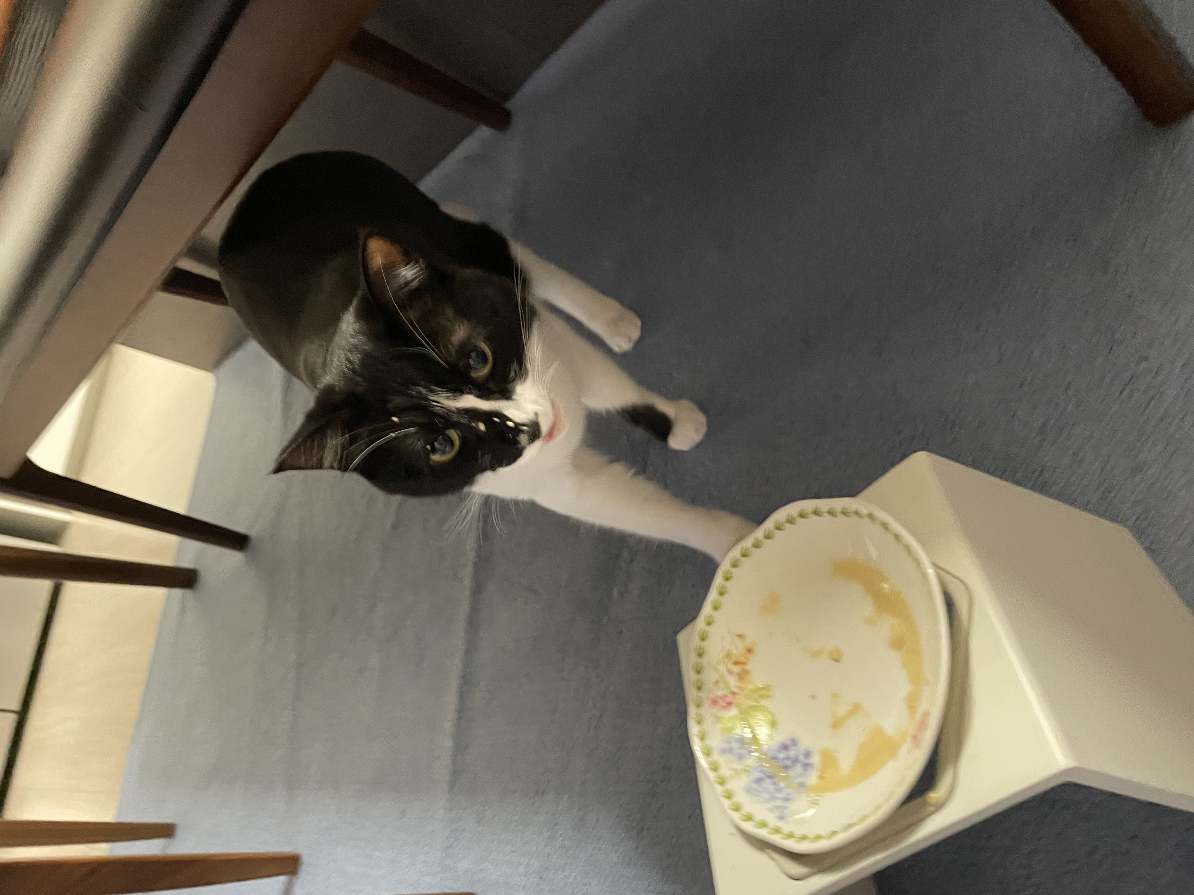 IMG_4173.jpeg