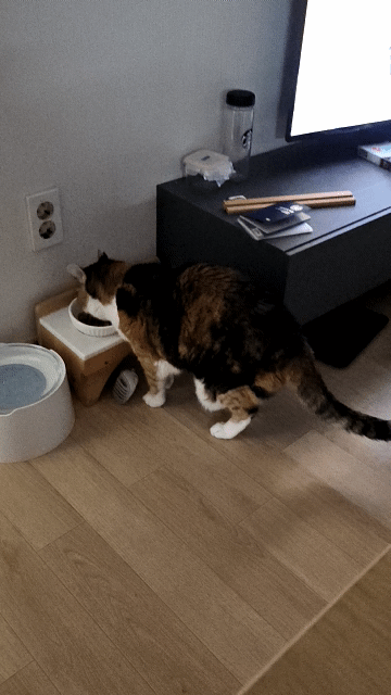 1741870752837.gif