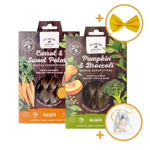 고네이티브 덴탈 슈퍼스틱 2종 세트