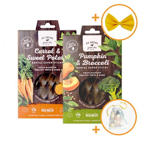 고네이티브 덴탈 슈퍼스틱 2종 세트