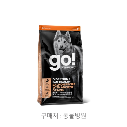 고! 솔루션 다이제스천 + 것 헬스 연어 레시피