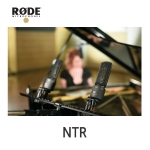 RODE NTR 스튜디오 녹음 공연장 홈레코딩용 프리미엄 리본 마이크
