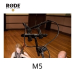 RODE M5 Matched Pair 로데 스튜디오 레코딩 무대라이브용 합창보컬 라이브악기녹음 영화실내녹음 콘덴서 마이크