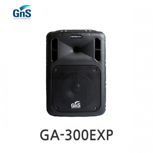 GNS GA-300EXP GA-300용 확장스피커