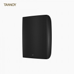 TANNOY DVS8 DVS 8 탄노이 패시브 풀레인지 라우드 스피커 실내 외부 겸용 매장 카페 벽걸이 스피커