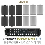 탄노이 벽부형스피커 DVS6 11개 SR-650D 상업용 음향패키지