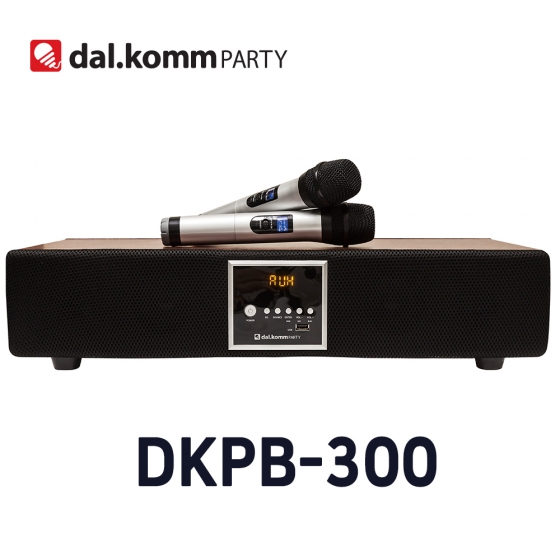 DKPB-300 블루투스스피커