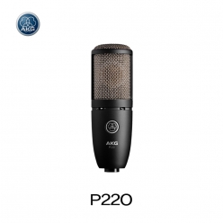 AKG P220 고성능 대형 다이아프램 트루 콘덴서 마이크