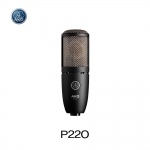 AKG P220 고성능 대형 다이아프램 트루 콘덴서 마이크