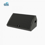 GNS 지엔에스 GS12M 12인치 패시브 모니터 스피커 300W