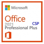 Office LTSC Professional Plus 2021 CSP 영구사용권 라이선스