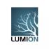 Lumion Pro 1Y Sub 1년 사용권