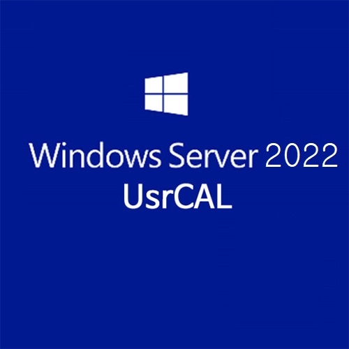 Windows Server 2022 - 1 User CAL CSP 영구사용권