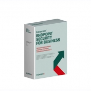 Kaspersky Endpoint Security for Workstation(기업용/1년사용권/20개이상구매가능)