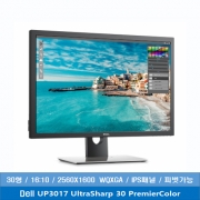 DELL UltraSharp UP3017 PremierColor 모니터