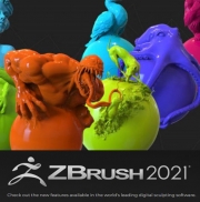 ZBrush 2022 지브러쉬 상업용 영구사용 Pixologic 지브러시