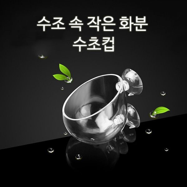 유리 수초컵