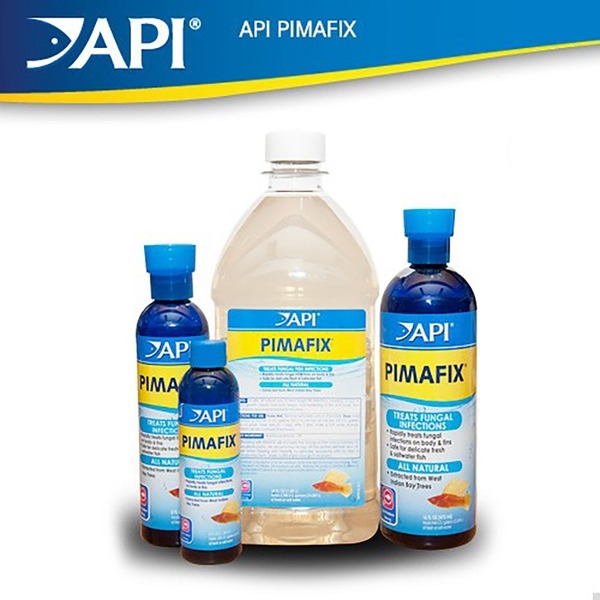 API 피마픽스 473ml 약품