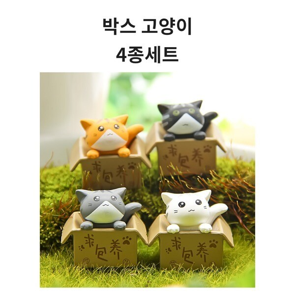 상자고양이 4종세트 테라리움 미니어쳐4칼라 SS008