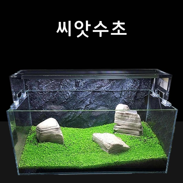 수초씨앗 씨앗수초 쿠바펄모양S 10g