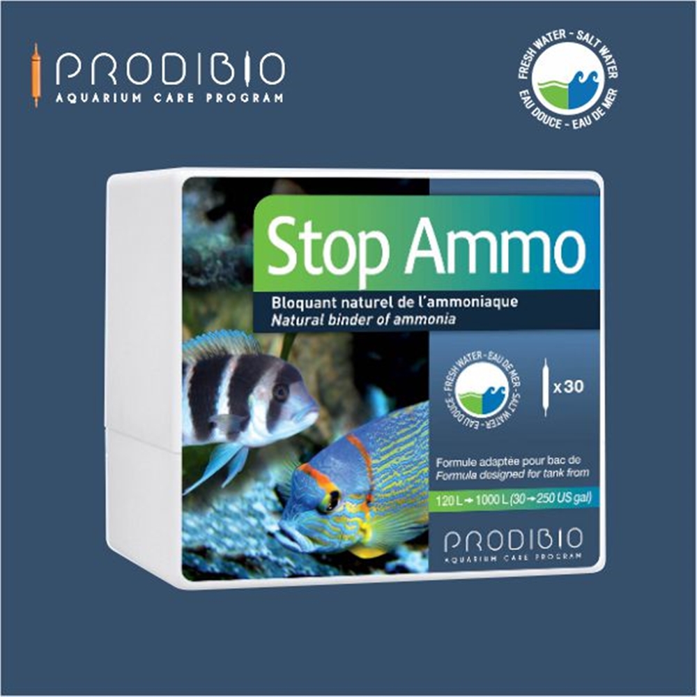 스탑암모 30앰플 프로디바이오