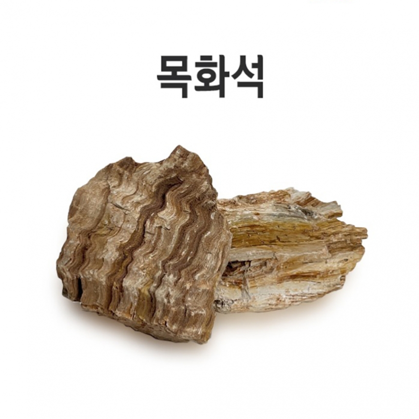 목화석 2KG 어항 레이아웃 어항 세팅