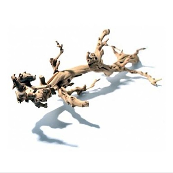 세틀 포도나무 유목 (대) / 천연유목