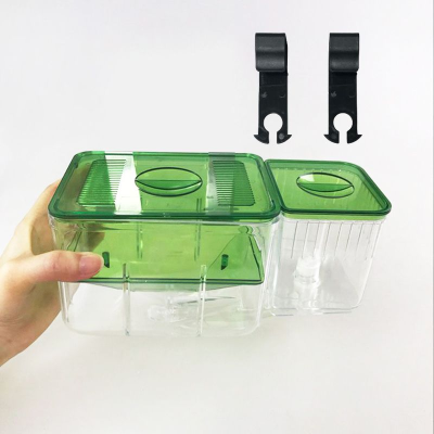 영아쿠아 투명 그린 2단 레이어 구피 치어 분리 부화통