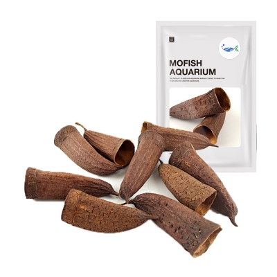 트롬베타 열매 나무껍질 은신처 거북이 쉼터