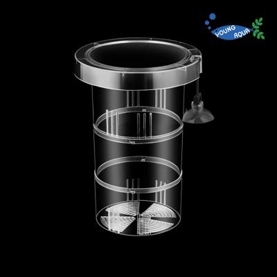 영아쿠아 부상식 브리딩 부화통 치어 격리통 - 대형