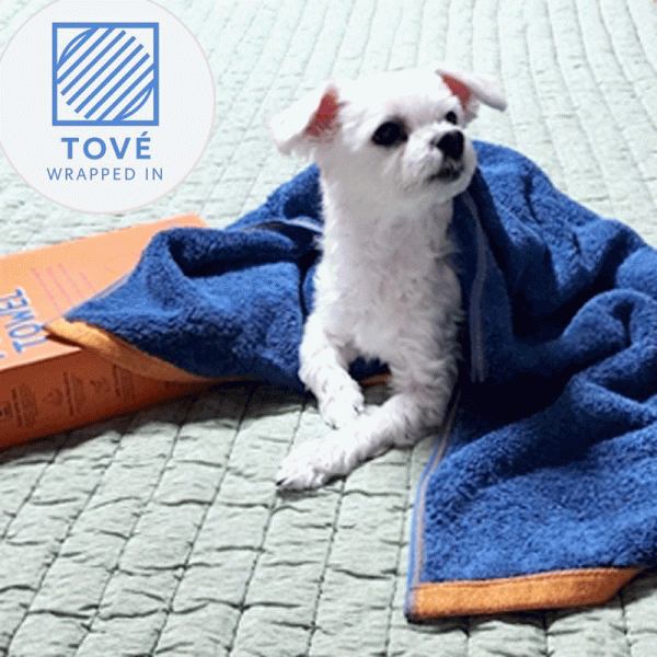 (국산) 토베 오렌지 더블 펫 타올(40수/260g) 40x100cm