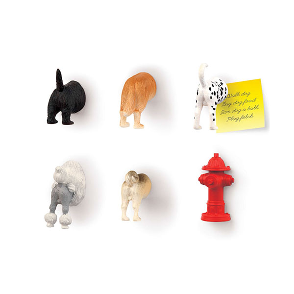 키커랜드 냉장고 자석 - 강아지 (6개입) (MG17)  / 디자인제픔 