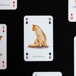 Cats Playing Card