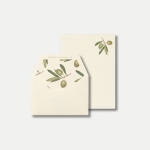 Letter Set -  Olea Europaea