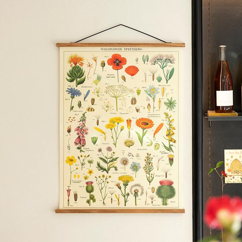 Picture Frame 2종