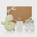 Snake Toy & Socks Set