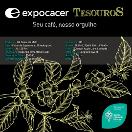 브라질 파젠다 이스페란사 IAC 125 RN 네추럴 퍼먼테이션 40H - Expocacer Tesouros Lot