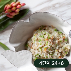얌이밀 이유식 완료기기 4단계 완료기밥 24+6 (200g x 30개)