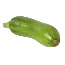 애호박