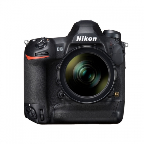 니콘 Nikon D6 Body [정품]-출시예정-