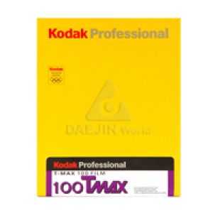 코닥 Kodak TMX 100-4x5 (10)
