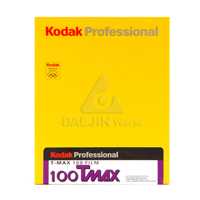 코닥 Kodak TMX 100-4x5 (10)
