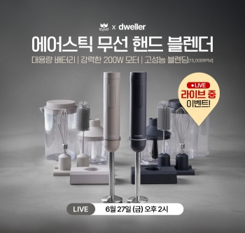 드웰러 에어스틱 무선 핸드 블렌더